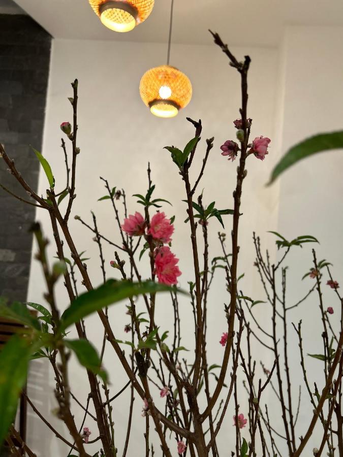 Vang Anh Homestay Hoi An Exterior photo